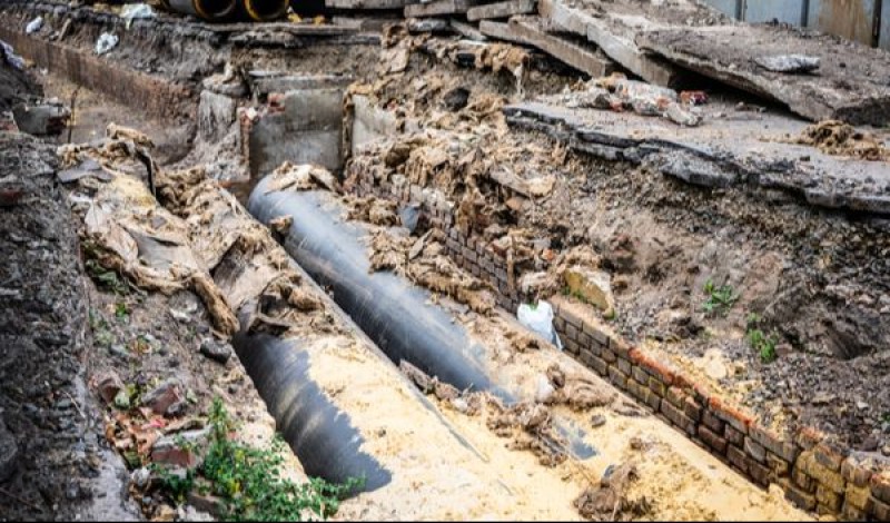 indigo-rug-cleaning-services