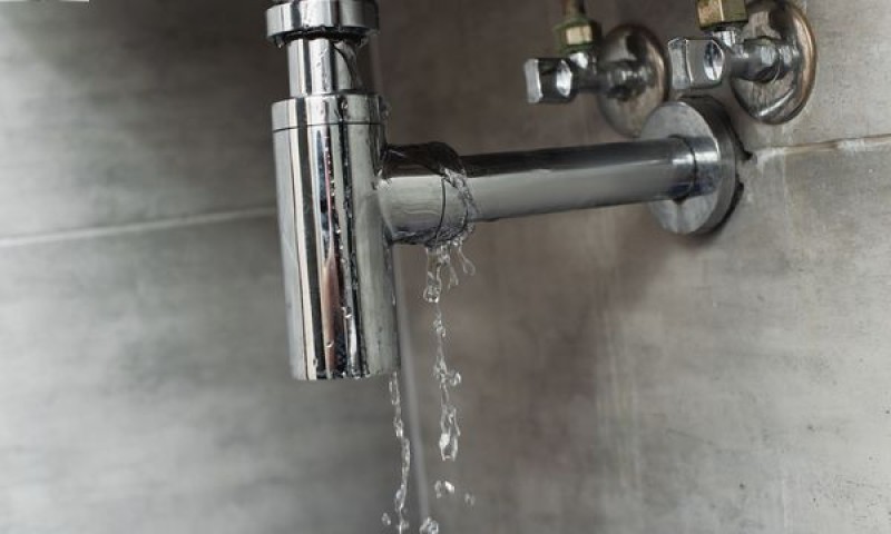 indigo-rug-cleaning-services